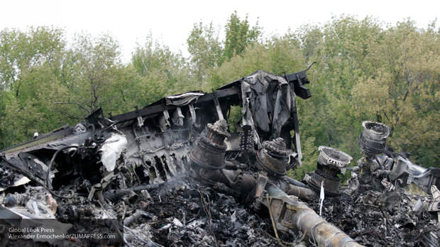 Антипов назвал ошибки голландцев в деле MH17, которые «на руку» России