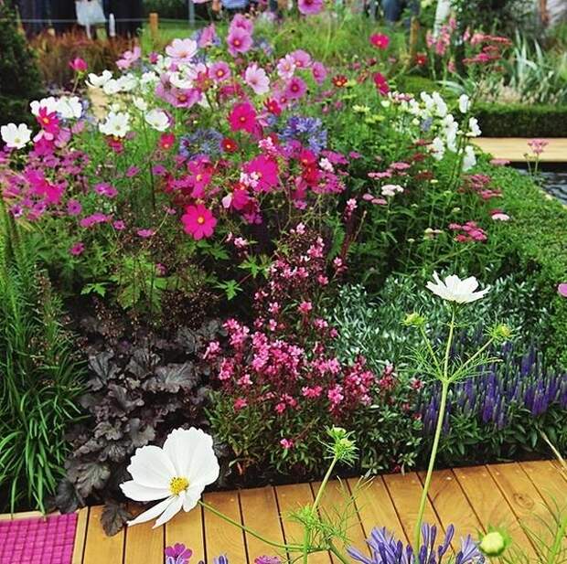 А вот растения могут быть любыми, необходимо лишь правильно подбирать их цветовые сочетания в рамках отдельных садовых зон, уголков, цветников, но не сада в целом.