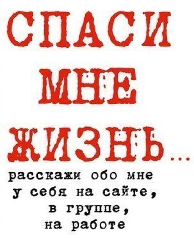 Скоро малыши останутся совсем без еды и крова. Помогите спасти! Помогите, хотя бы временной передержкой!