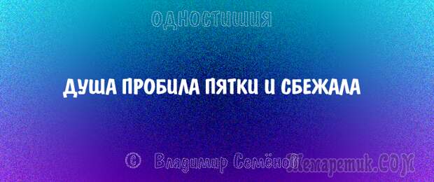 Одностишия, подтверждающие, что краткость – сестра таланта