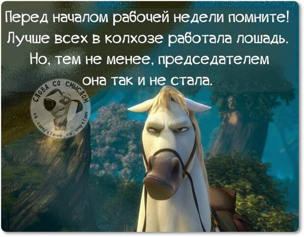 Позитивные фразочки со смыслом жизнь, картинки, смысл, фраза, цитаты, юмор