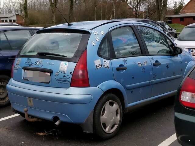 Автовсячина