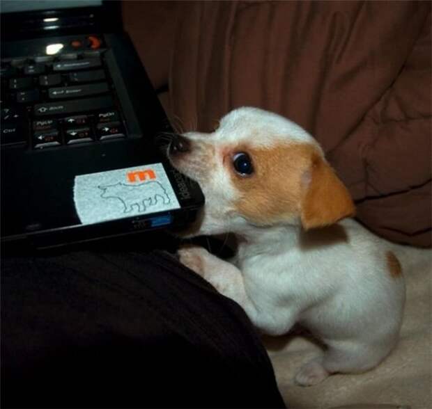 The 10 Awesome Animal Pictures Of The Day - We Rule The Internet