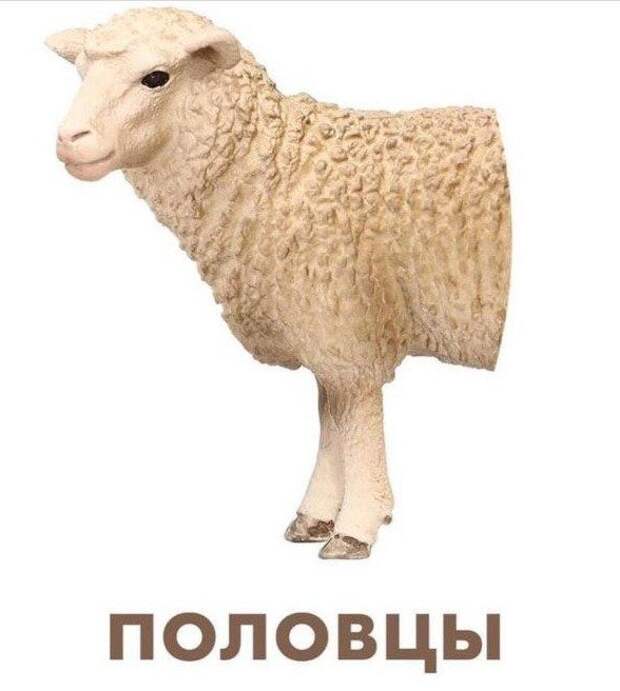www.vsyako.net