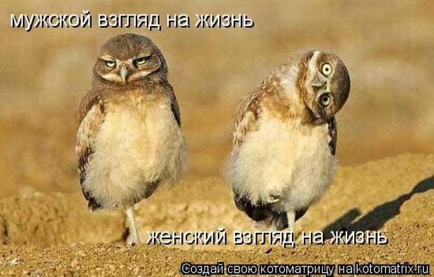 Картинки по запросу мужской и женский взгляд на жизнь