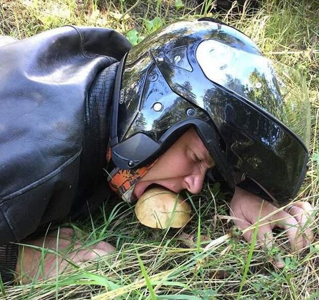 Голод - это не шутки... Голод - это не шутки...