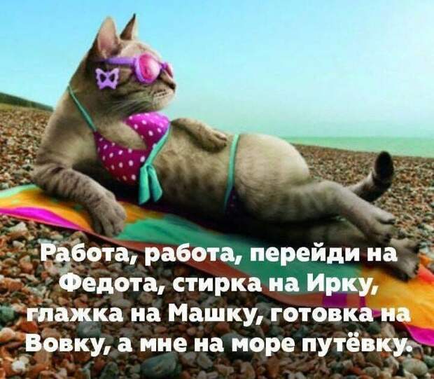Подборка лучших шуток для настроения