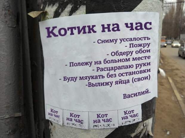 Смешные комментарии и высказывания из социальных сетей высказывания, комментарии, прикол