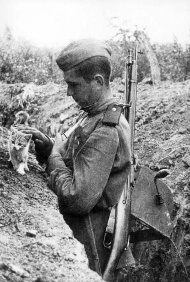 11. Русский солдат на передовой гладит кошку, 1941-1945 архив, исторические фото, фото, фото из прошлого