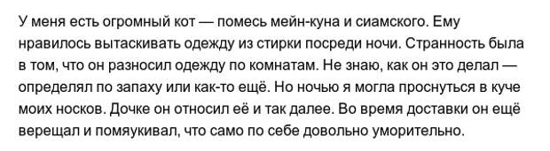Забавные привычки наших любимых питомцев Забавные привычки наших любимых питомцев