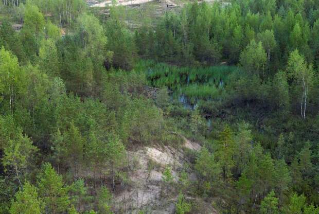 Ученые СПб ФИЦ РАН представили метод рекультивации земель после добычи нефти