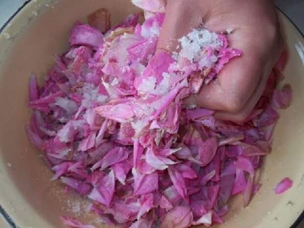 Варенье из лепестков роз. Пошаговый рецепт (14)