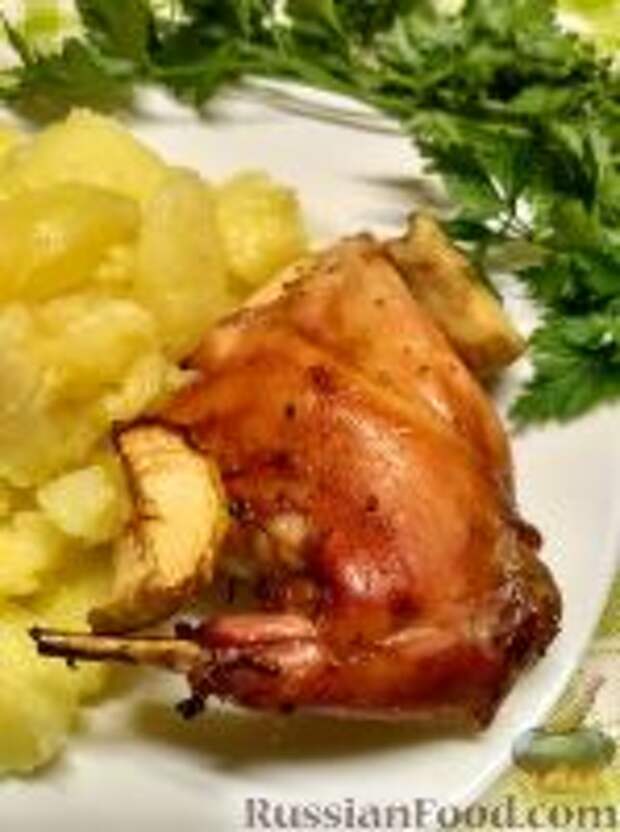 Фото к рецепту: Кролик, запеченный с яблоками