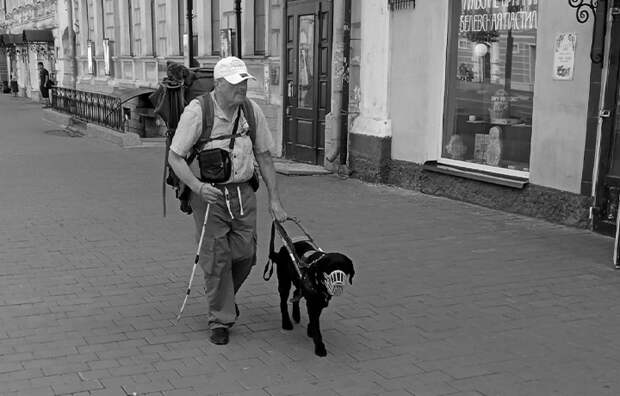 В Туле отказали в возбуждении дела о смерти слепого музыканта