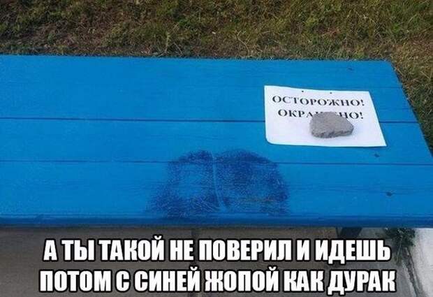 Приколы Приколы