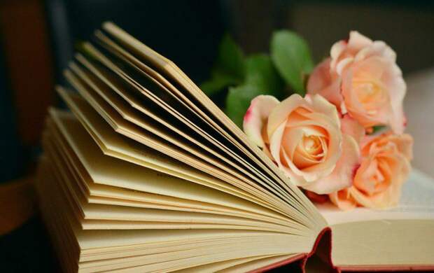 Книга/ Фото pixabay.com