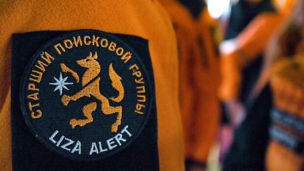 В «ЛизаАлерт» рассказали, что погода мешает возобновить поиски семьи Усольцевых