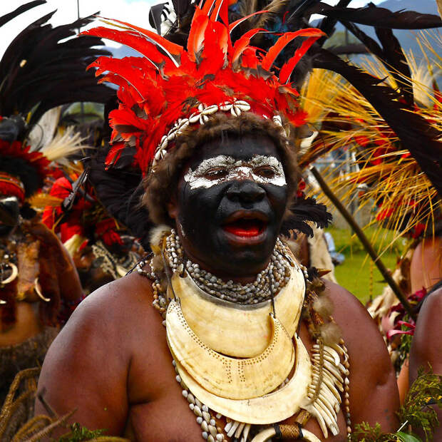 3244 Папуасы из Новой Гвинеи