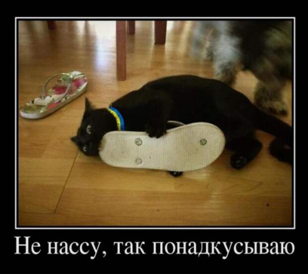 Демотиваторы (35 шт)