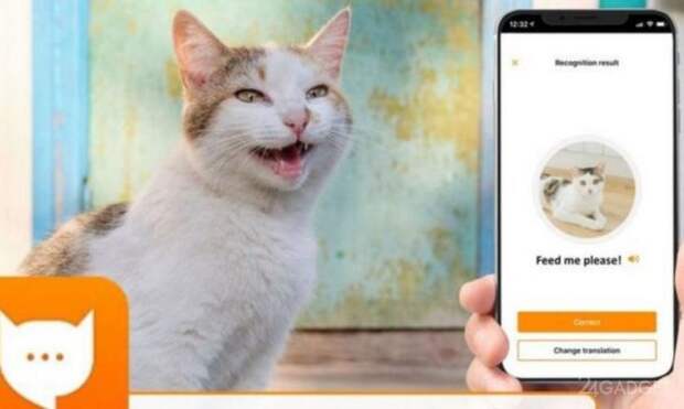 В Google Play появился переводчик с кошачьего языка