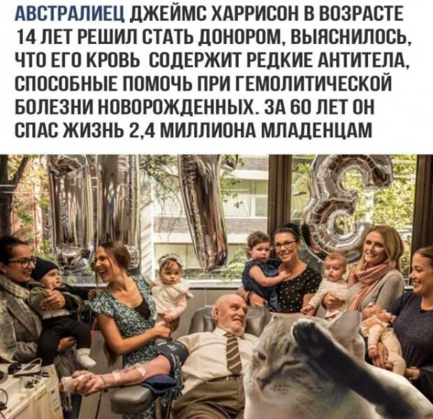 seti-kretinizmy-kartinki-smeshnye-kartinki-fotoprikoly