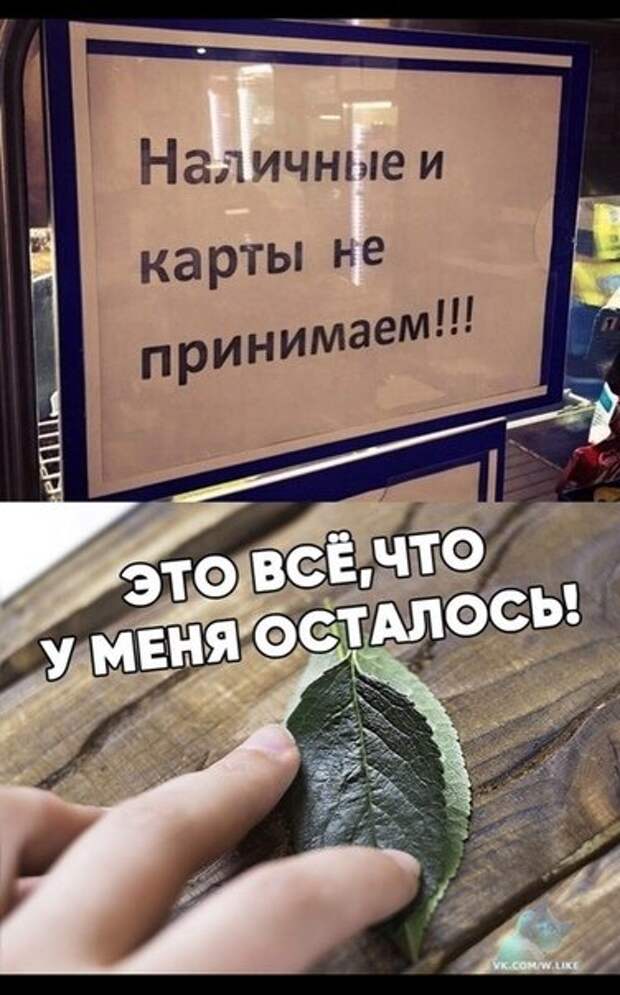 картинки
