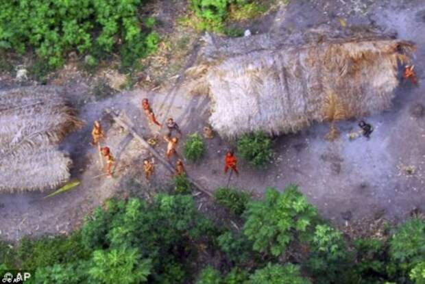 В джунглях Амазонки обнаружено еще одно нетронутое цивилизацией племя Амазония, амазонка, аэрофотосъемка, джунгли, племена