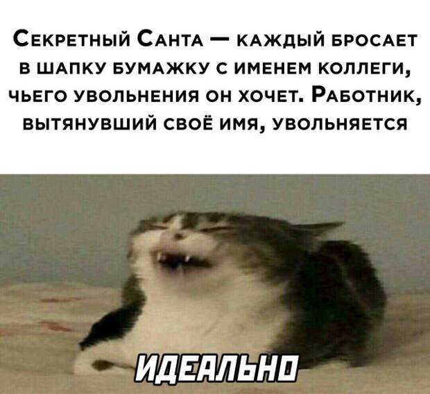 Смешные картинки 9 декабря 2021 года