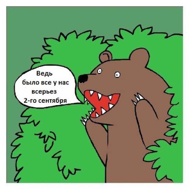 Подготовка к этому дню по традиции начинается ещё накануне, когда «было всё у нас всерьёз» 3 сентября, костры рябин, прикол, шуфутинский, юмор