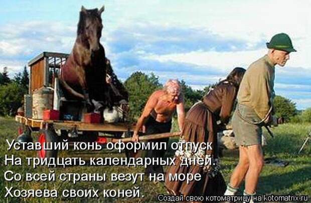 Лучшие котоматрицы недели (50 фото)