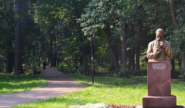 Не судьба? Еще один аукцион на благоустройство парка Кулибина не состоялся