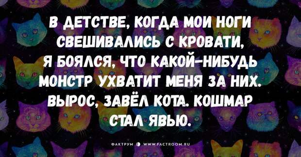 25 самых смешных анекдотов про кошек и котов
