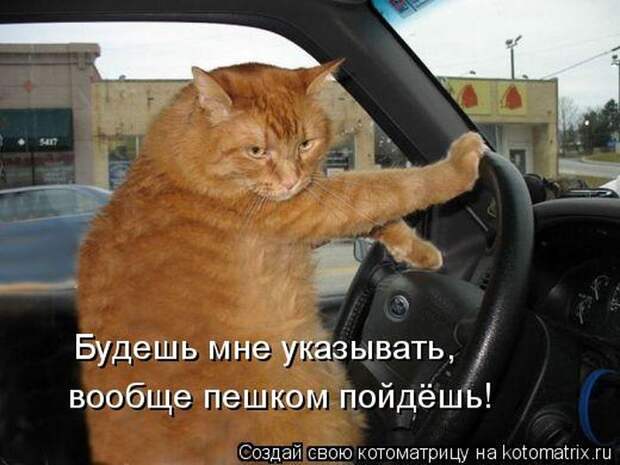 Мысли вслух :)