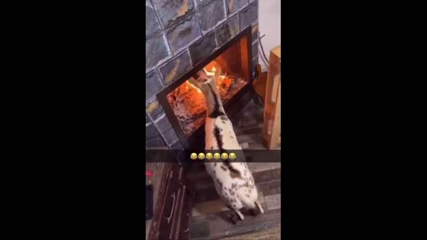 Video: Видео от Донецкая группа новостей|Донецк.ДНР