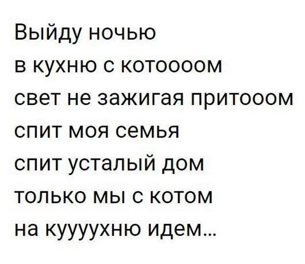 Выйду ночью текст. Смешные Совы картинки. Выйду ночью с котом. Выйду ночью в кухню с котом. Только мы с котом.