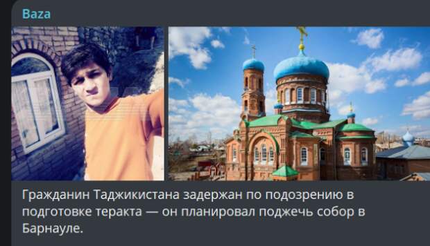 pahlavon1-1.png