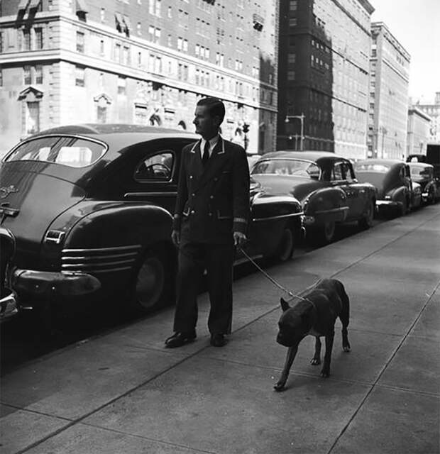 Привратник, выгуливающий собаку, 1949 life, Стэнли Кубрик, звезды, знаменитости, режиссеры, фотограф, фотографии, юность гения