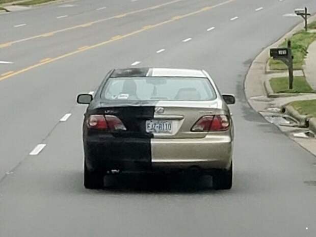 Автовсячина