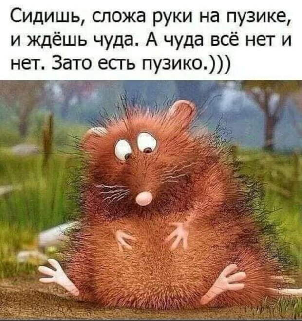 Классные анекдоты и шутки в картинках, которые подарят чудесное настроение
