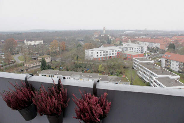17.jpg 17.jpg