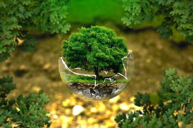 Экология. Фото: pixabay.com