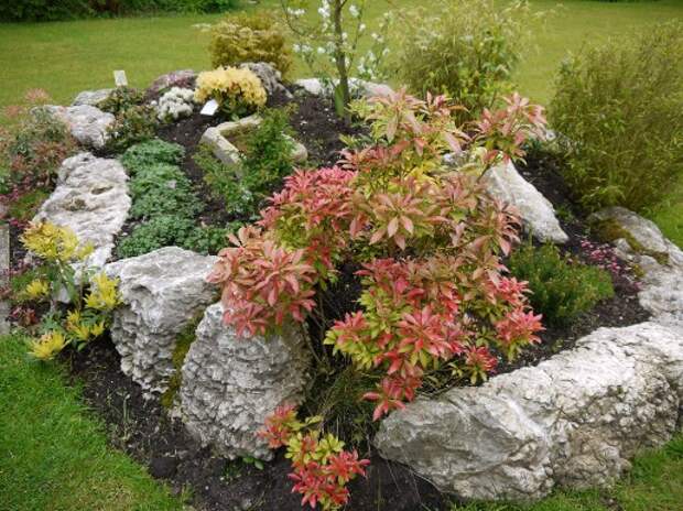 рокарий фото