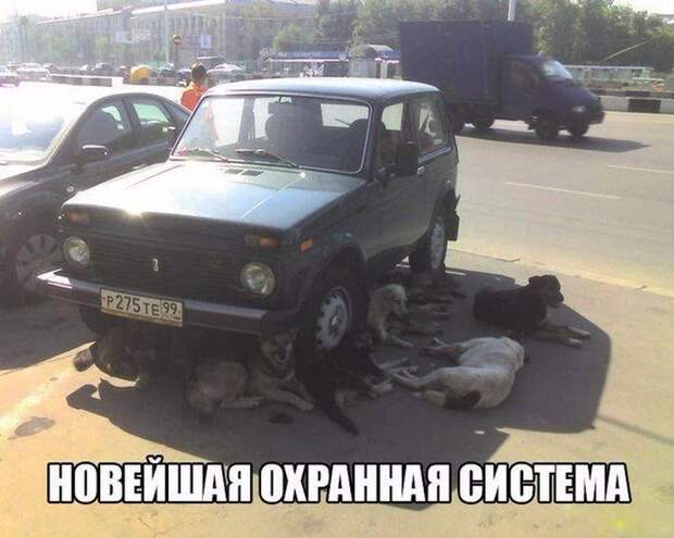 автоприколы