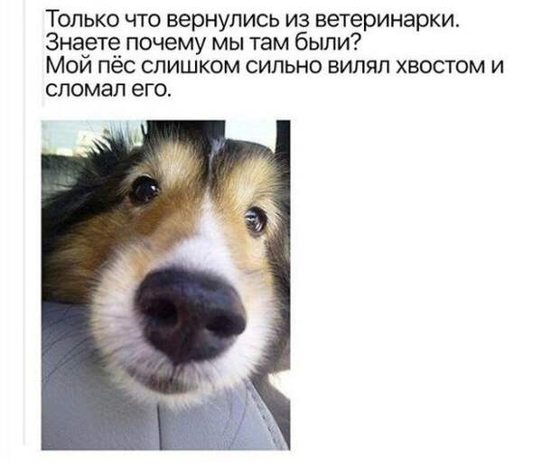 Прикольные картинки с текстом (20 фото)
