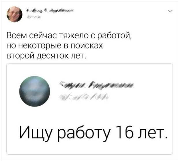 195696_15_trinixy_ru.jpg