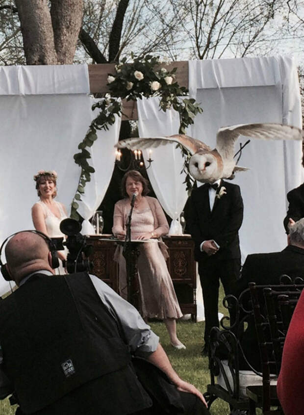 Уморительные свадебные фотографии, на которых все пошло не по плану 13weddingceremony - Уморительные свадебные фотографии, на которых все пошло не по плану