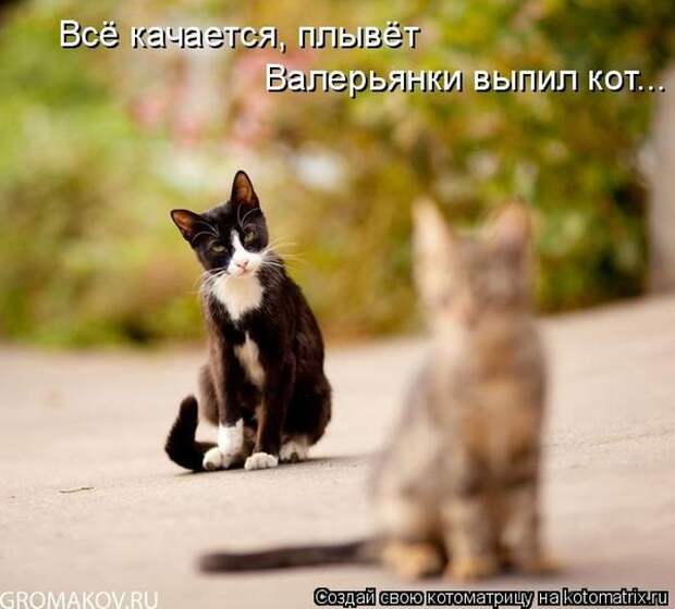 Мысли вслух :)