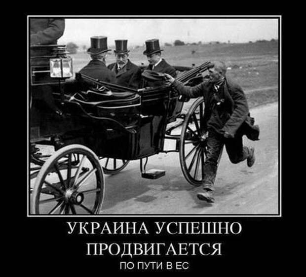 http://img.politota.org/2013_10/j1515_x861110.jpg