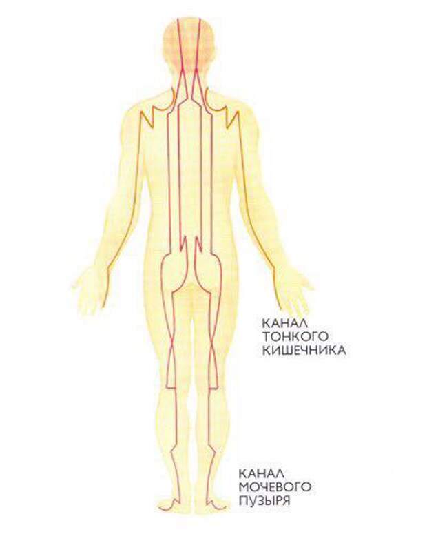 Энергетические каналы и меридианы человека схема и направления