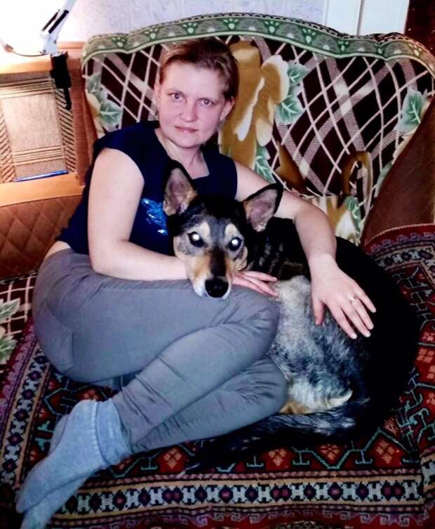 Машинист поезда вовремя заметил на рельсах собачьи ушки животные, поезд, рельсы, собака, спасение